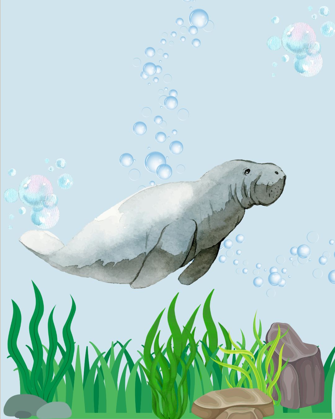 Copy of Marine Mammals Infographic (Instagram Post (45)) (3)